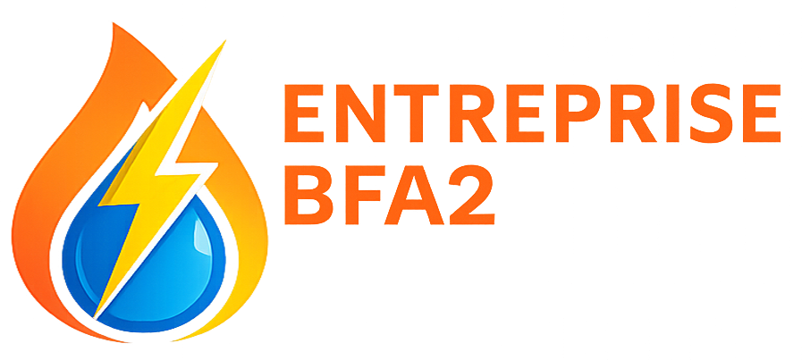 Entreprise BFA2